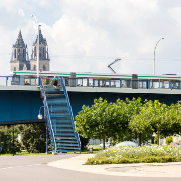 Straßenbahn auf der Strombrücke (Foto: Stefan Deutsch)